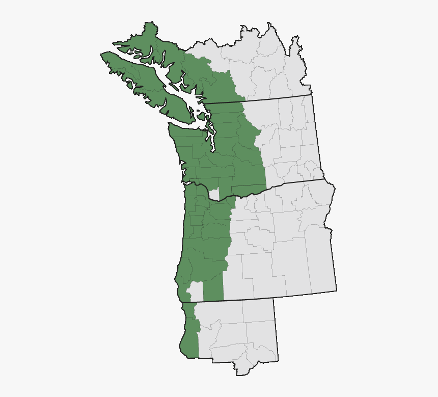 Evergreen Huckleberry Range Map, HD Png Download, Free Download