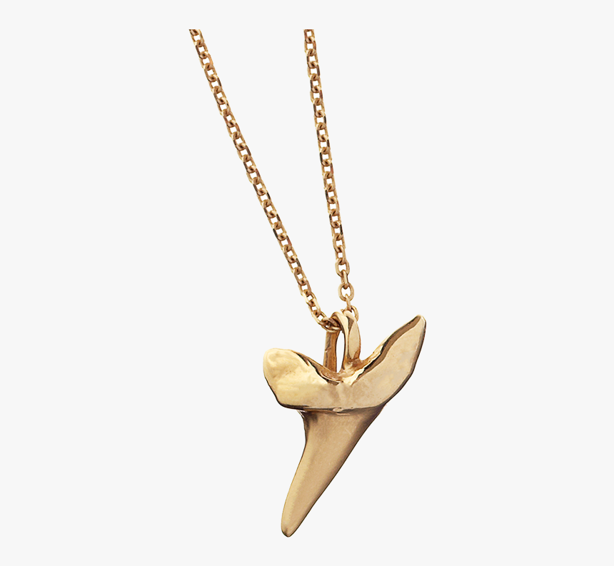 Shark Pendant Sm New Web - Shark Tooth Pendant Gold, HD Png Download, Free Download