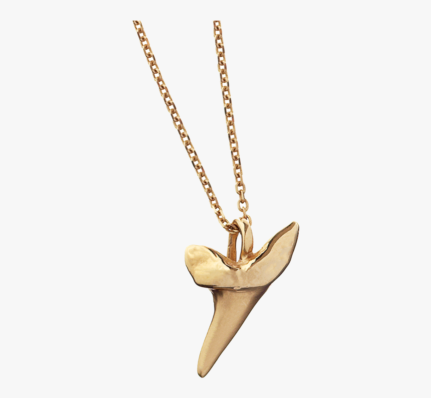 Shark Pendant Sm New Web - Shark Tooth Pendant Gold, HD Png Download ...