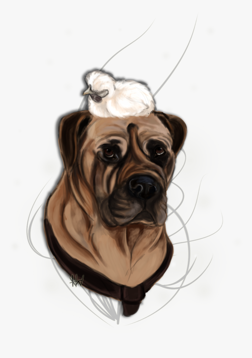 Bullmastiff Png, Transparent Png, Free Download