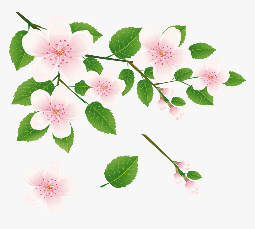 Flower Tree Clip Art, HD Png Download, Free Download