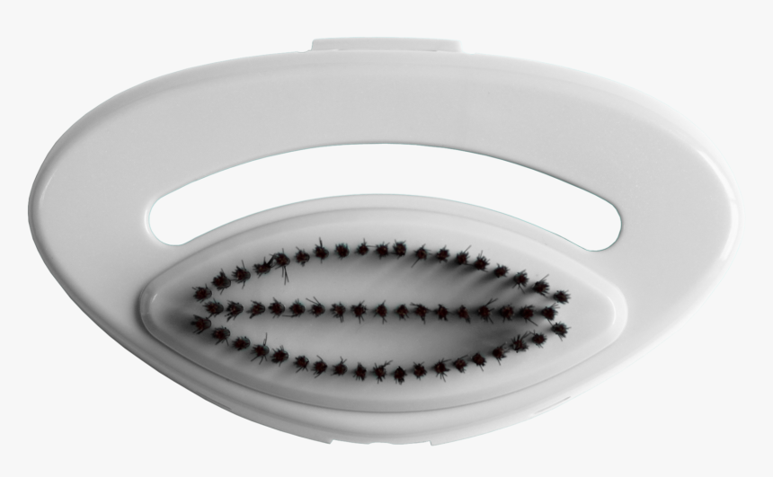 Eurosteam® Steam Ezee White - Shower Head, HD Png Download, Free Download