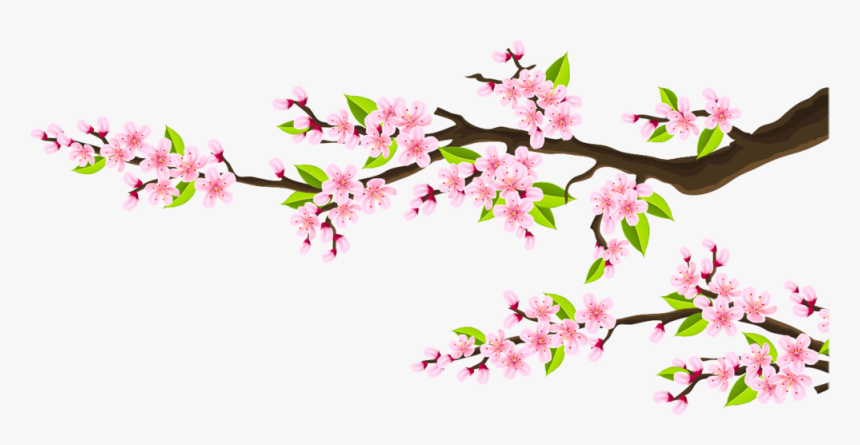 Pink Flower Branches - Cherry Blossom, HD Png Download, Free Download