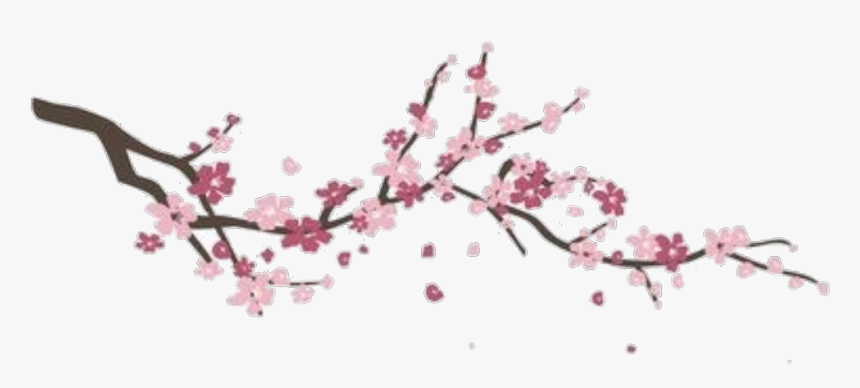 #flower #branch - Cherry Blossom, HD Png Download, Free Download