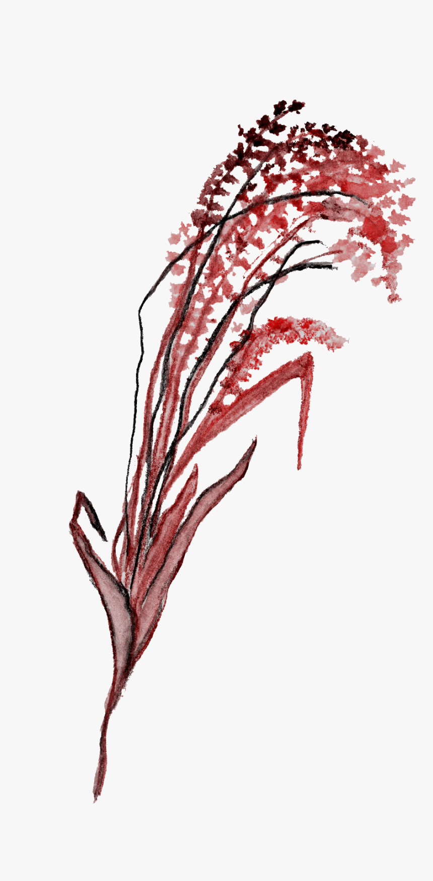 Black Red Flower Branch Transparent Decorative , Png - Illustration, Png Download, Free Download