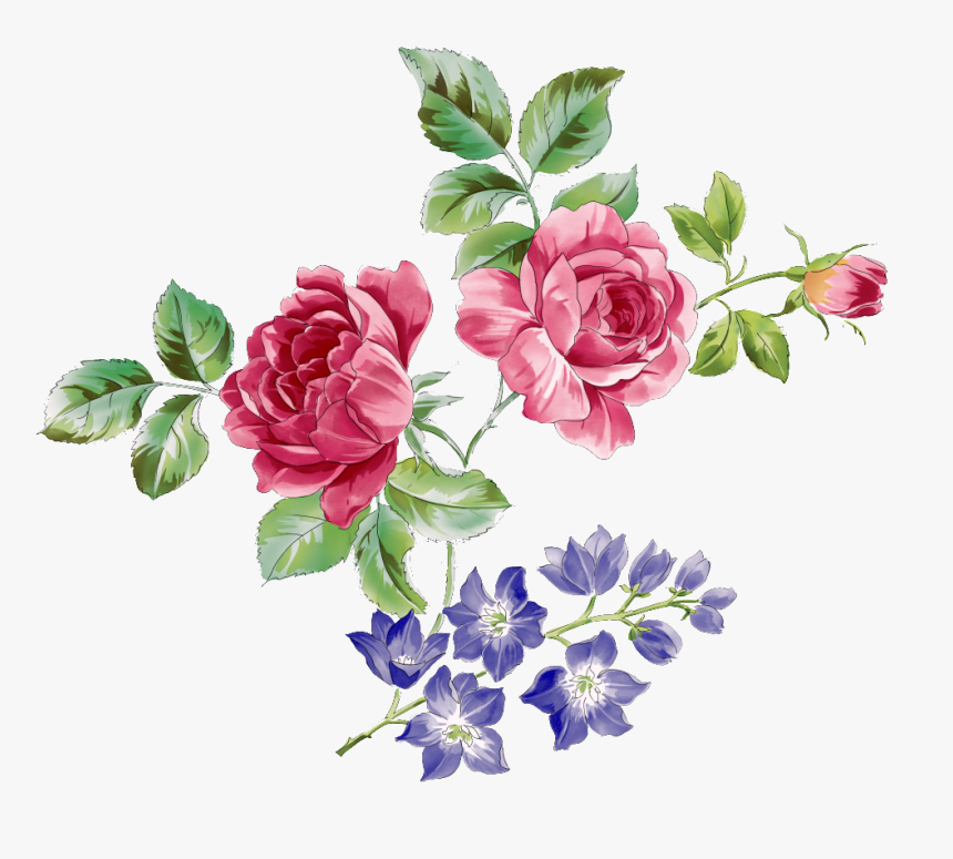 Red Rose Branch And Purple Flower Branch Transparent - Flower Illustration Color, HD Png Download, Free Download