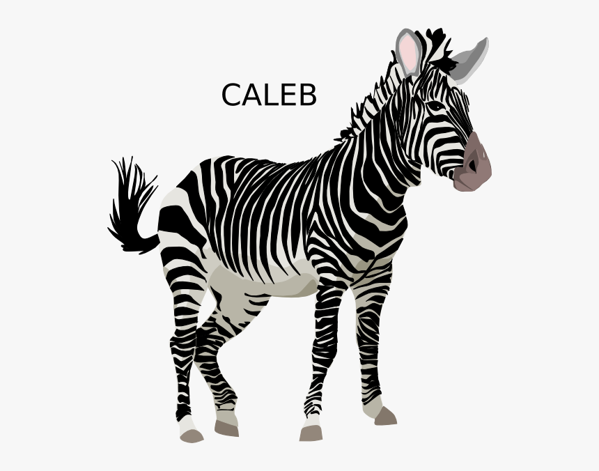 Caleb Zebra Svg Clip Arts - Zebra Clipart, HD Png Download, Free Download