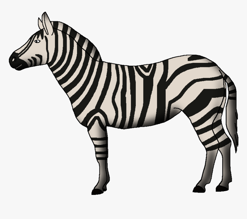 Wildlife Animal Pedia Wiki - Zebra, HD Png Download, Free Download