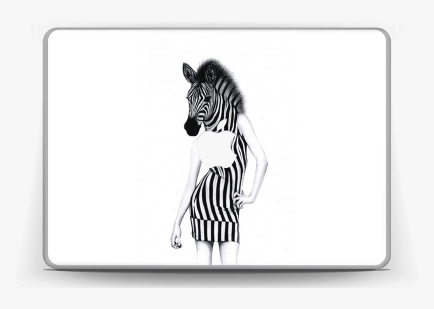 Transparent Zebra Cartoon Png - Cartoon, Png Download, Free Download