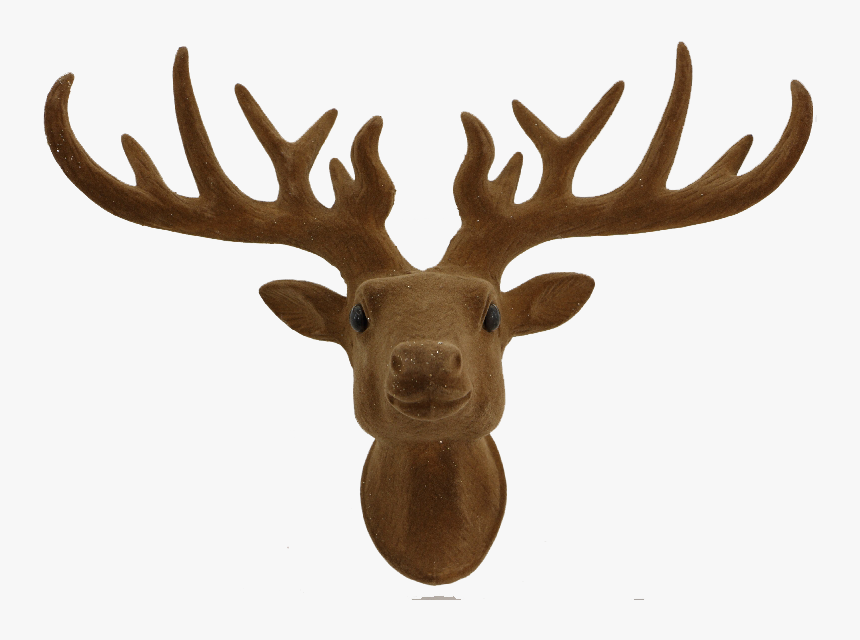 Franky Felt Reindeer Ornament - Deer Head Tree Topper, HD Png Download, Free Download