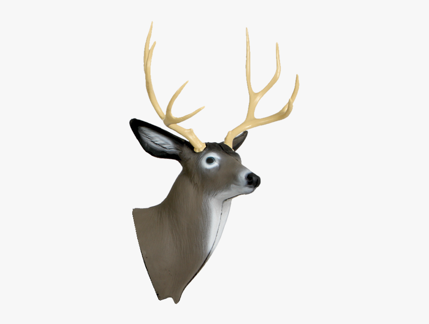 Delta Mckenzie Replacement Mule Deer Head - Transparent Deer Head, HD Png Download, Free Download