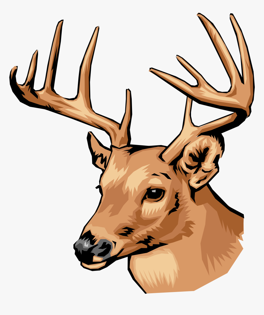 Dunham Massey Deer Beer, HD Png Download, Free Download