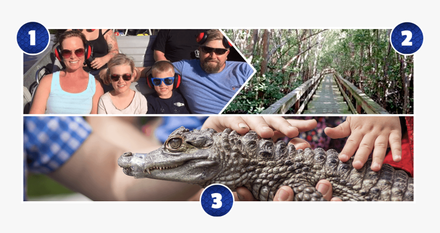 Family On An Airboat Tour Of The Everglades, A Boardwalk - American Alligator, HD Png Download, Free Download