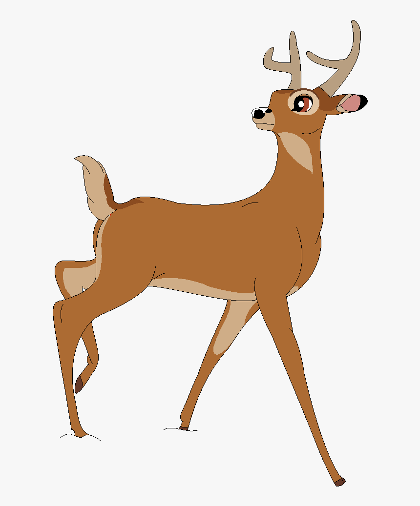 White-tailed Deer Faline Red Deer - White Tailed Deer Cartoon, HD Png Download, Free Download