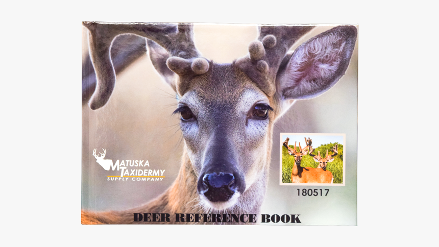 Whitetail Deer Eye Reference, HD Png Download, Free Download