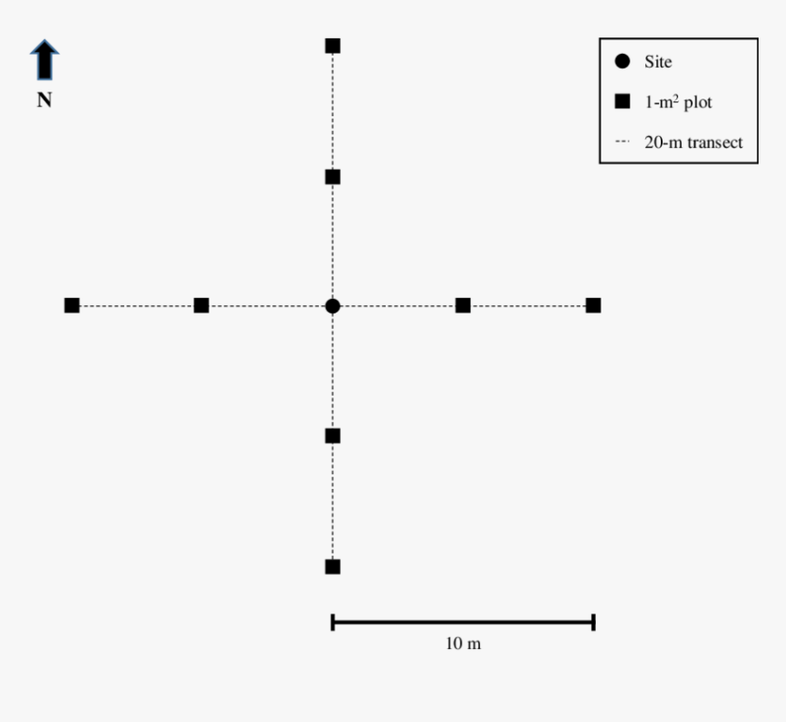 Diagram, HD Png Download, Free Download