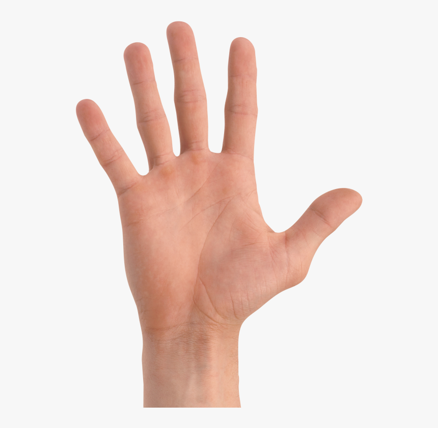 What�s The Big Deal - Front Of Hand Transparent, HD Png Download, Free Download