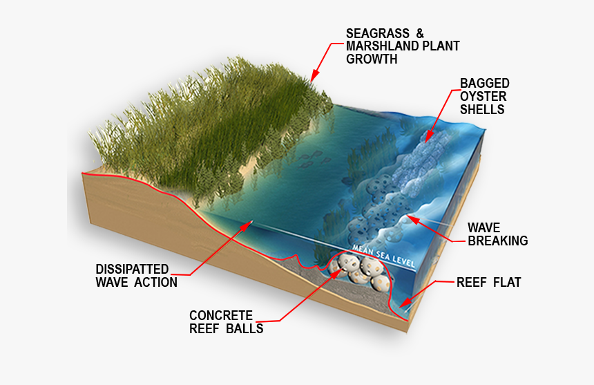 Before Storm Diagram - Grass, HD Png Download, Free Download