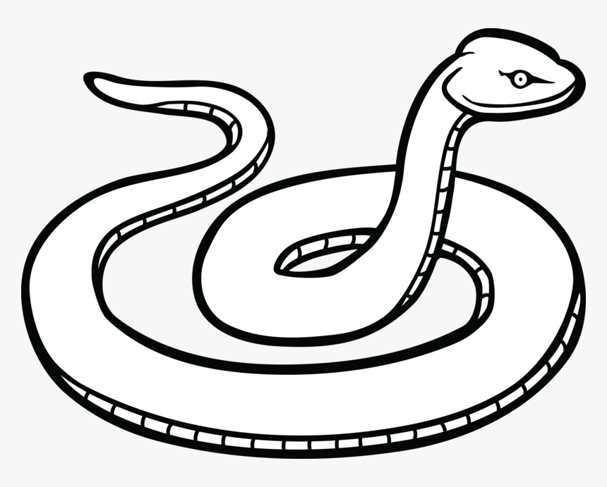Free Clipart Of A Snake - Snake Clip Art, HD Png Download, Free Download