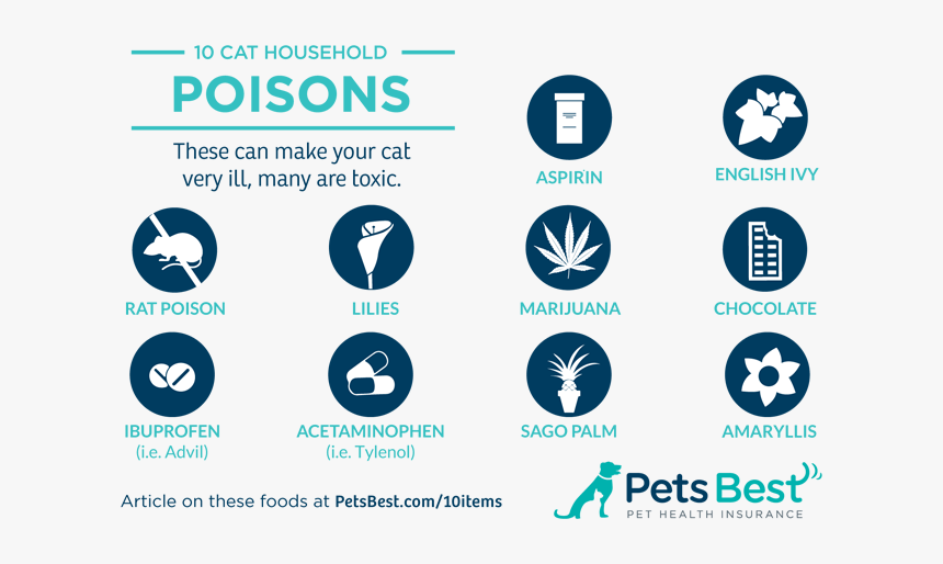 A List Of 20 Household Items That Can Potentially Poison - Household Poisons, HD Png Download, Free Download