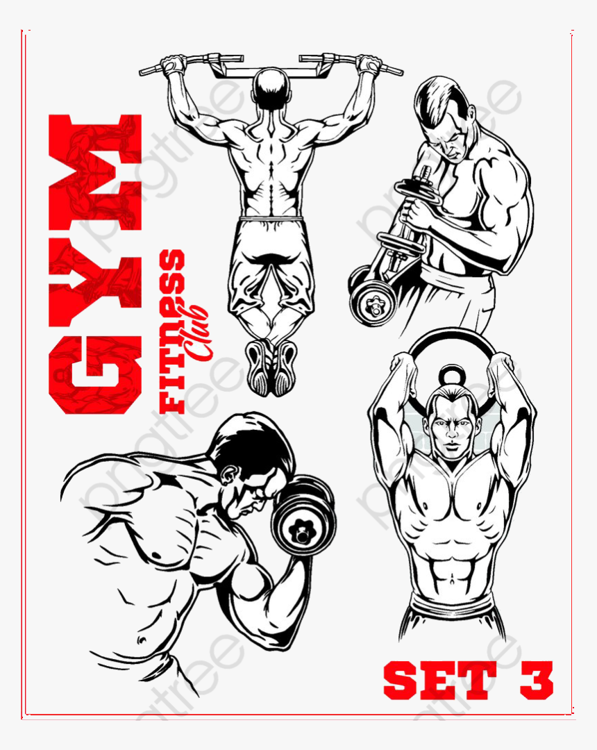 Transparent Fitness Clipart - Bodybuilding, HD Png Download, Free Download