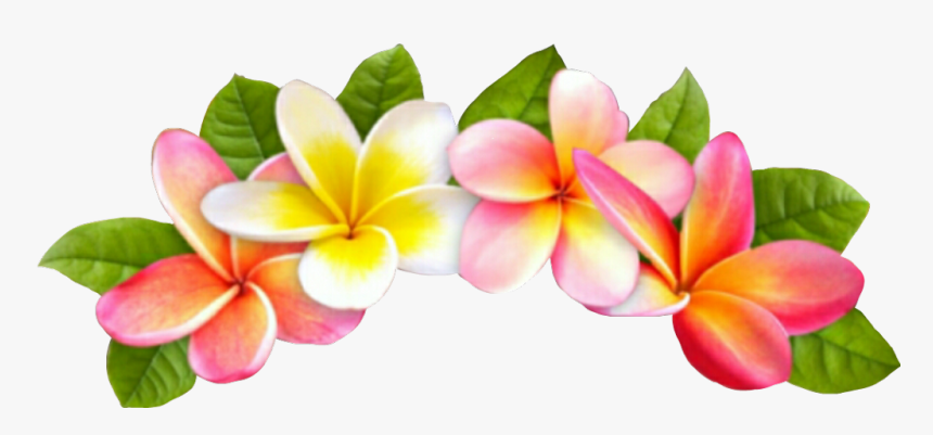 #summertime#summerfun #summercollage #tropical #flowercrown - Tropical Flower Crown Png, Transparent Png, Free Download