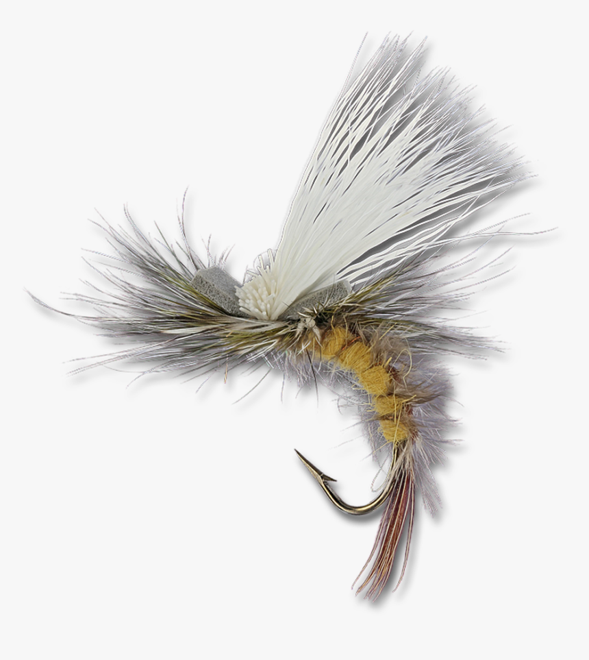 Sexy Hexy Emerger - Invertebrate, HD Png Download, Free Download