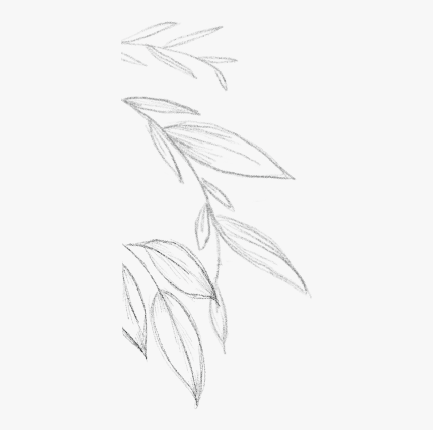 Sketch, HD Png Download, Free Download