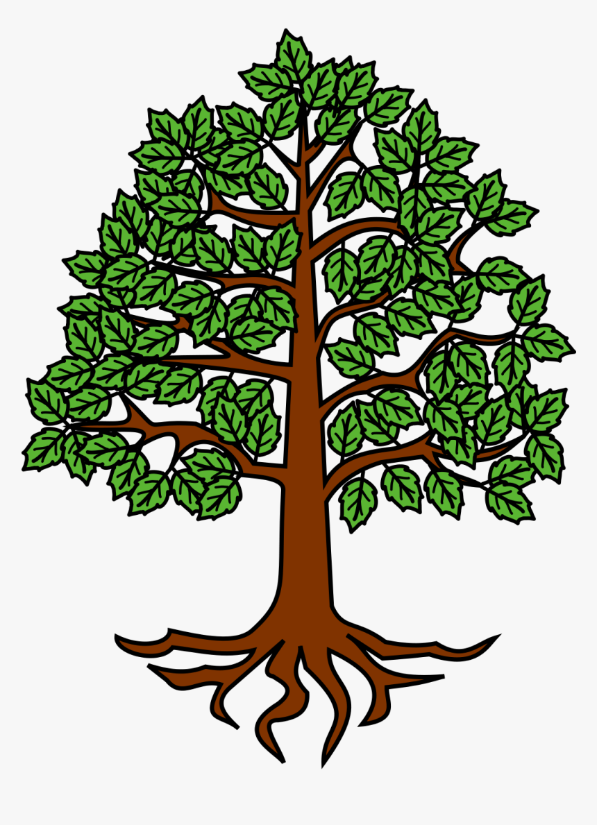 Tree Heraldry Wiki Commons, HD Png Download, Free Download