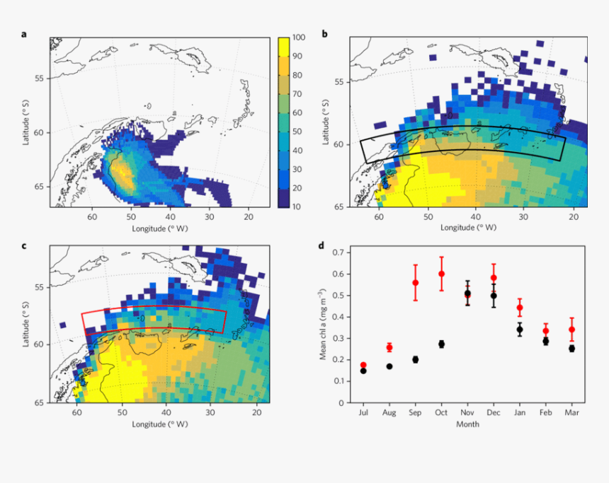 Krill Moving South Antarctica, HD Png Download, Free Download