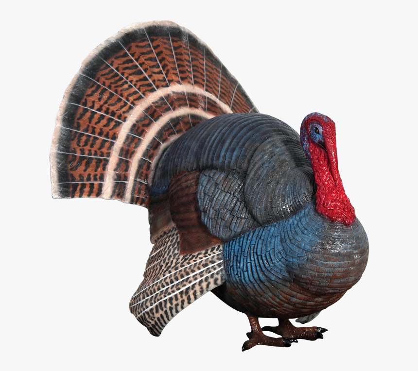 Clip Art Figura A Tama O - Wild Turkey Statue, HD Png Download, Free Download