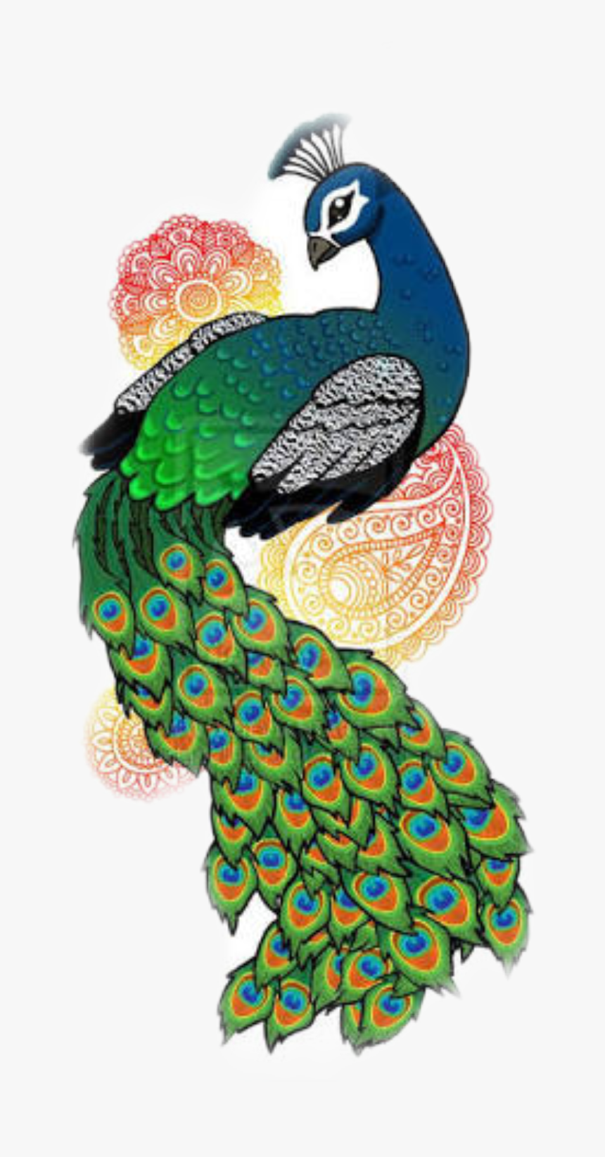 #pavo, HD Png Download, Free Download