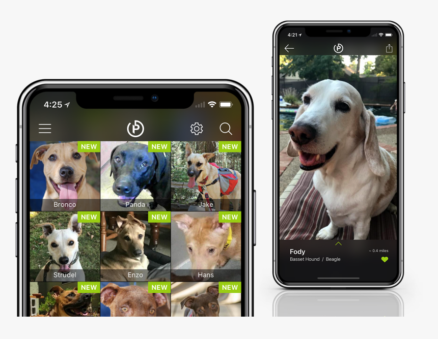 Iphone, HD Png Download, Free Download