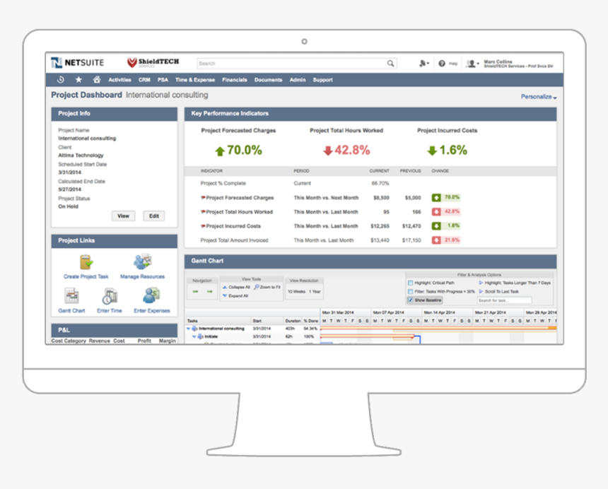 User Interface - Netsuite Srp, HD Png Download, Free Download