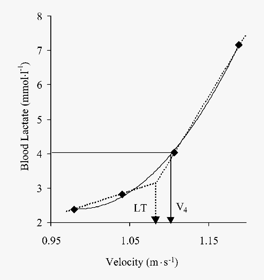 Lactate Threshold 4 Mmol, HD Png Download, Free Download