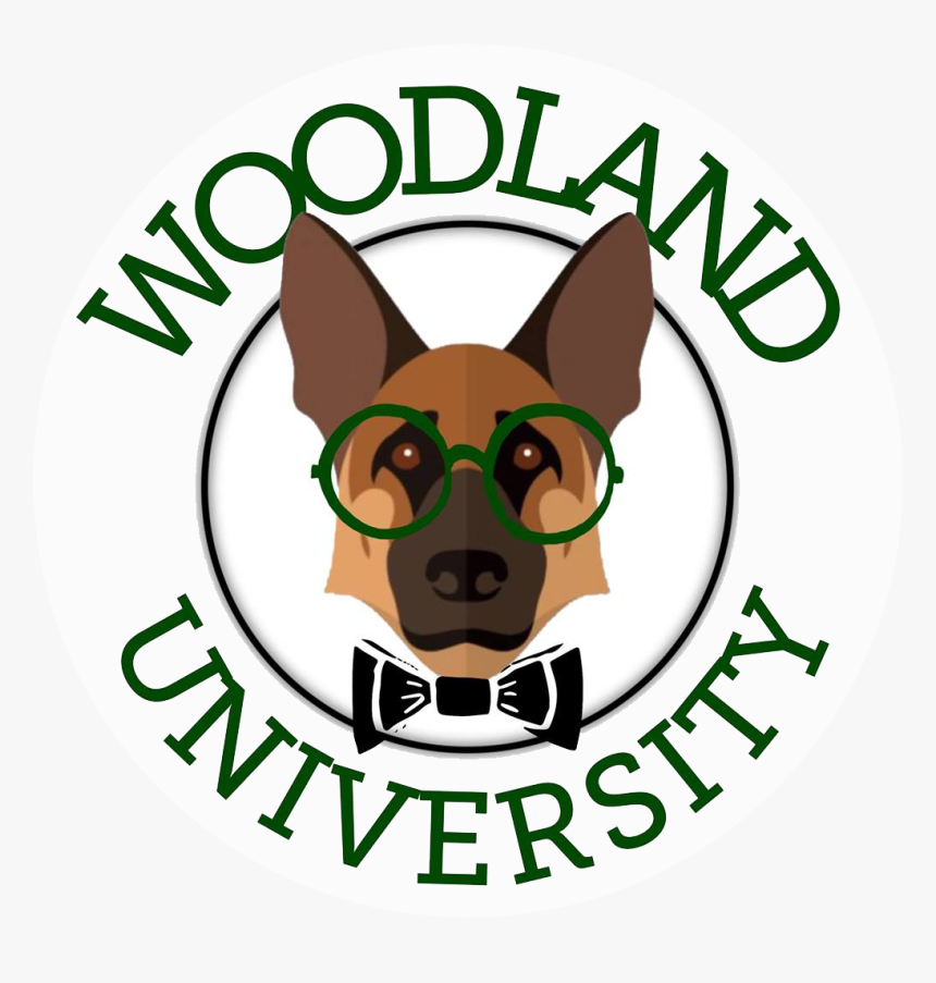 Woodland University - World Book Day 2012, HD Png Download, Free Download