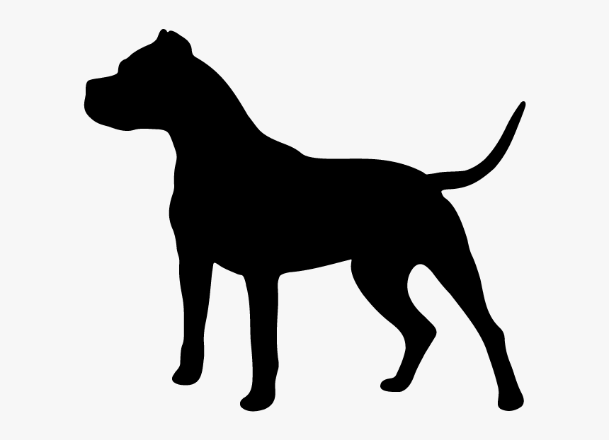 Dogo Argentino South Shore K9 Academy Zazzle Dog Training - Dogo Argentino Silhouette, HD Png Download, Free Download