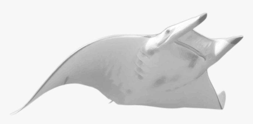 Thumb Image - Transparent Manta Ray Png, Png Download, Free Download