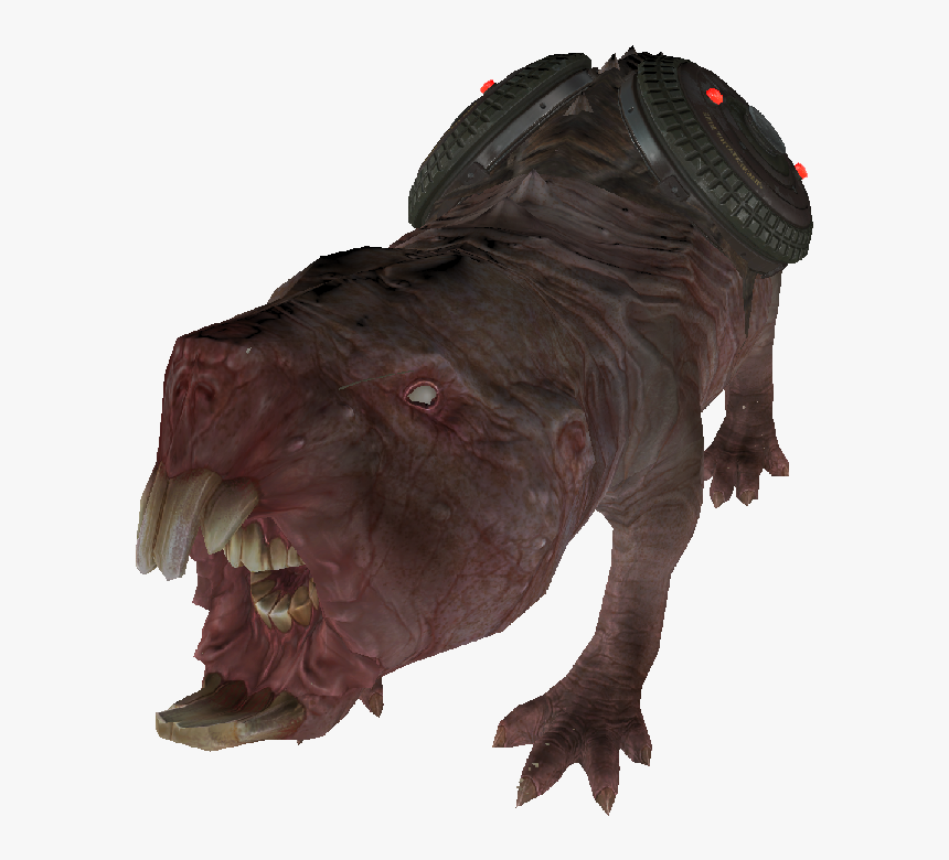 Fo4 Lvlmoleratbomb - Hippopotamus, HD Png Download, Free Download