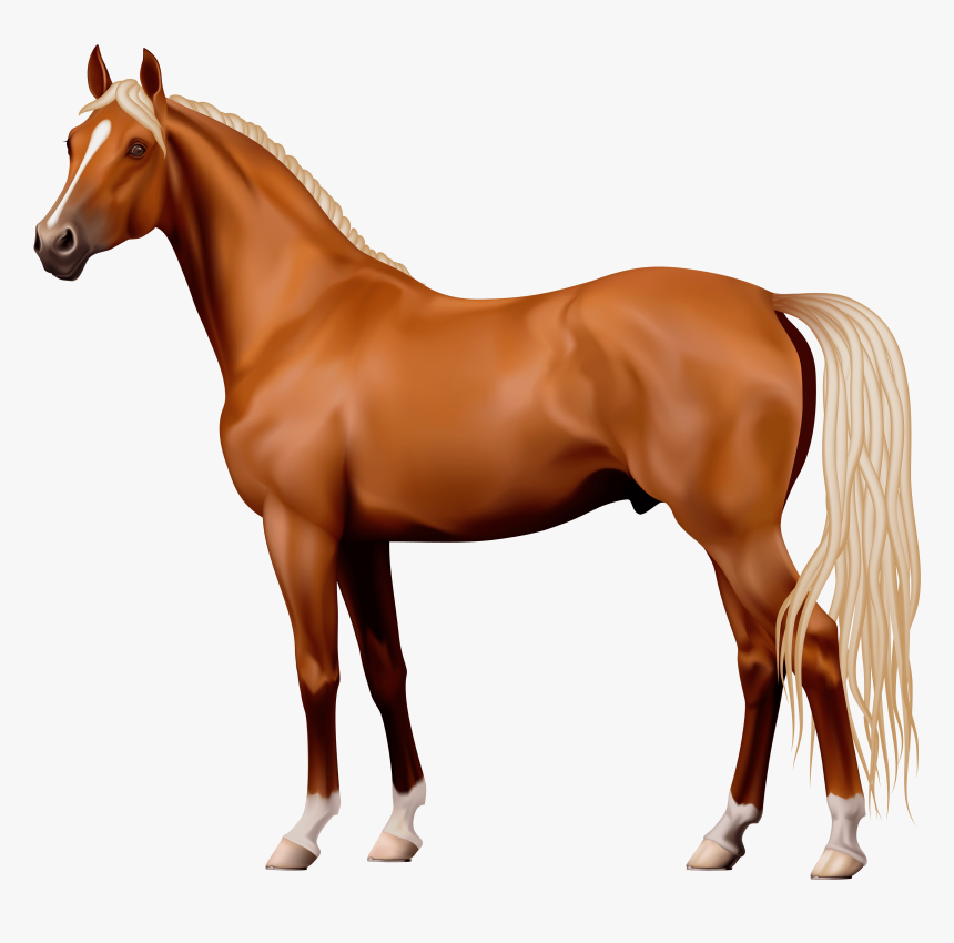 Horse Clipart 7 Clip Art - Transparent Background Horse Png, Png Download, Free Download