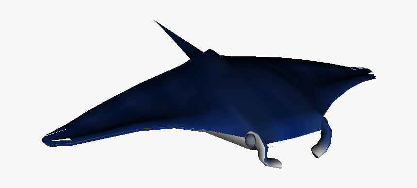 Download Zip Archive - Bottlenose Dolphin, HD Png Download, Free Download