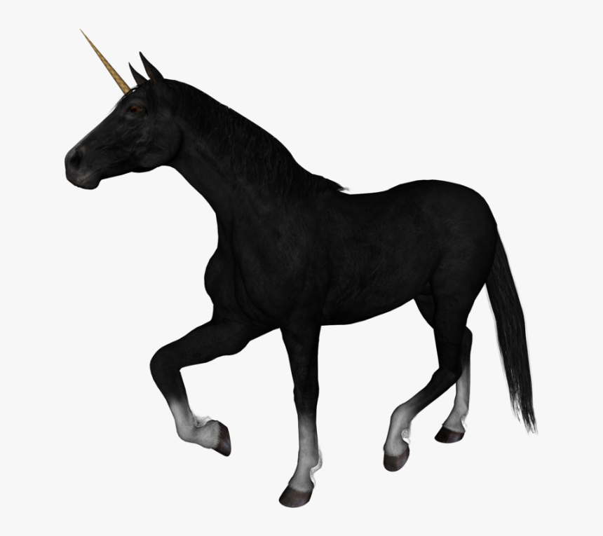 Unicorn Png Image - Horse Gif Png, Transparent Png, Free Download