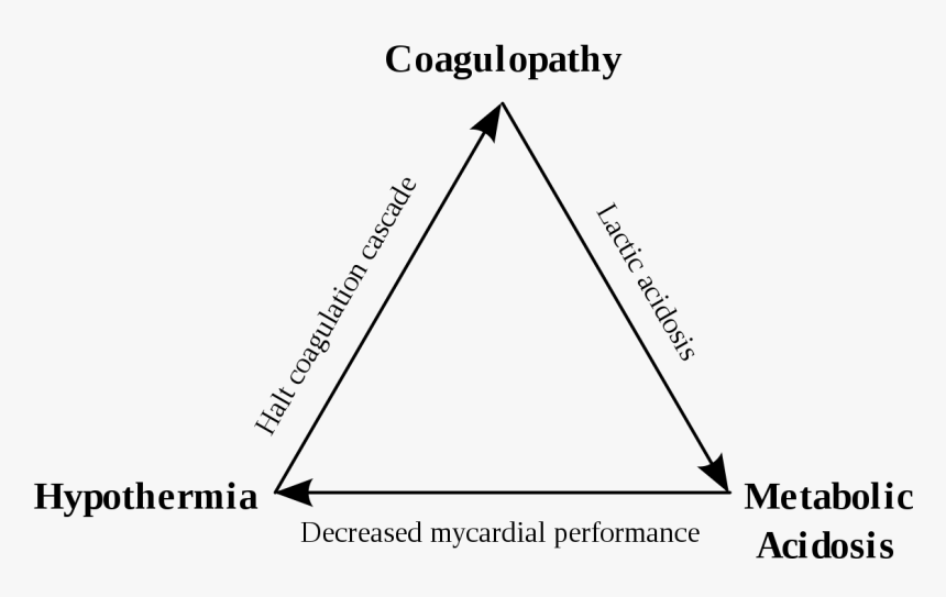 Trauma Triad Of Death, HD Png Download, Free Download