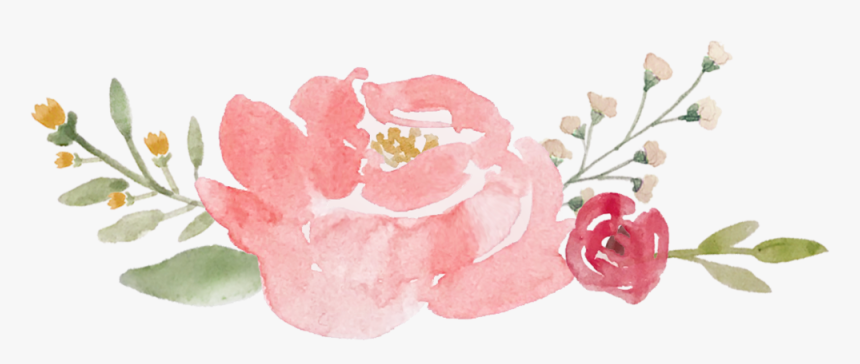 Watercolor Pink Flower Png Transparent Png Kindpng