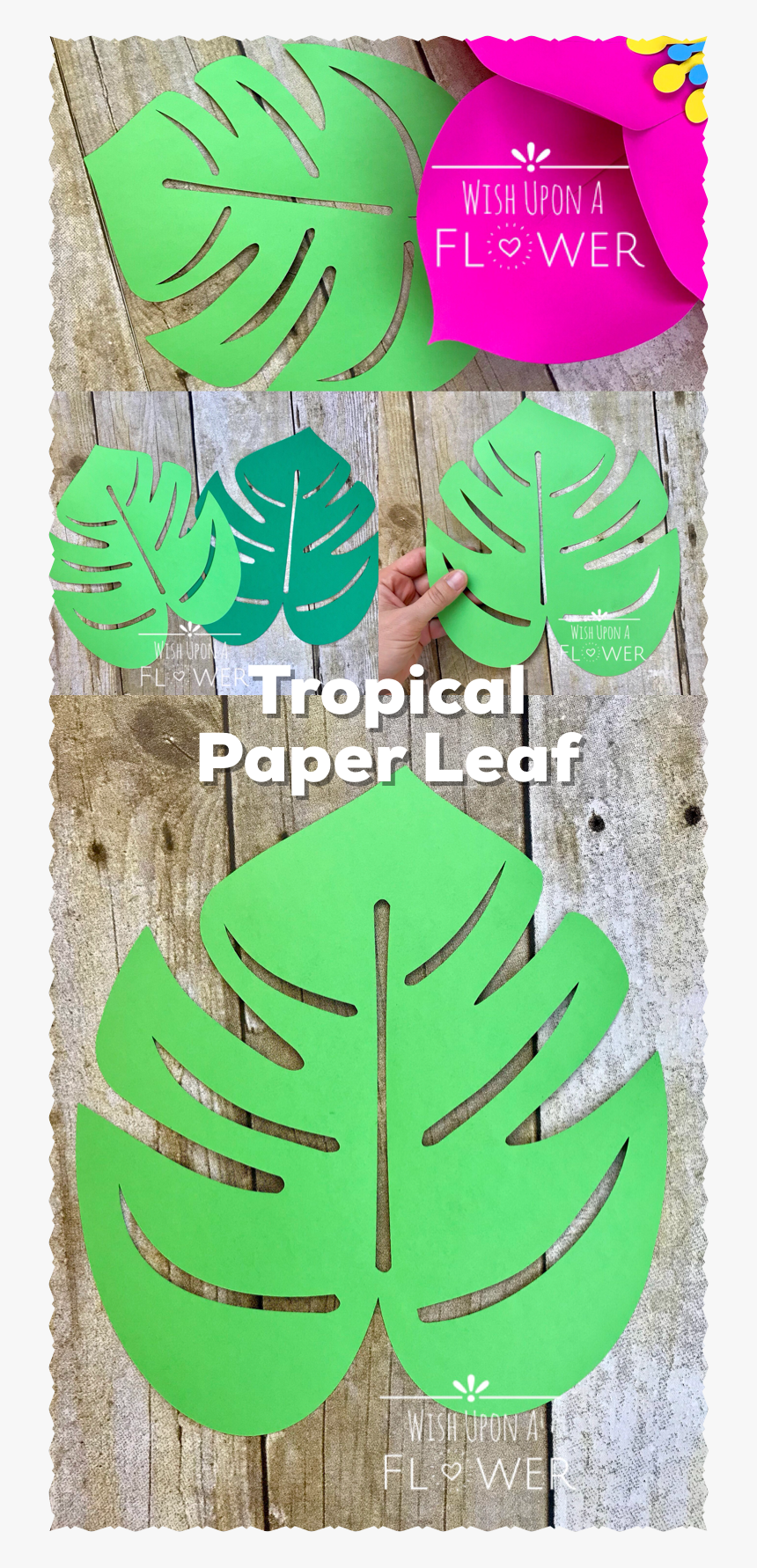 Tropical Paper Leaf For Paper Flower Decorations, HD Png Download, Free Download