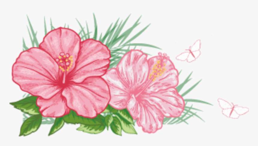 #bloom #flower #frame #border #flowers #white #bouquet - Chinese Hibiscus, HD Png Download, Free Download