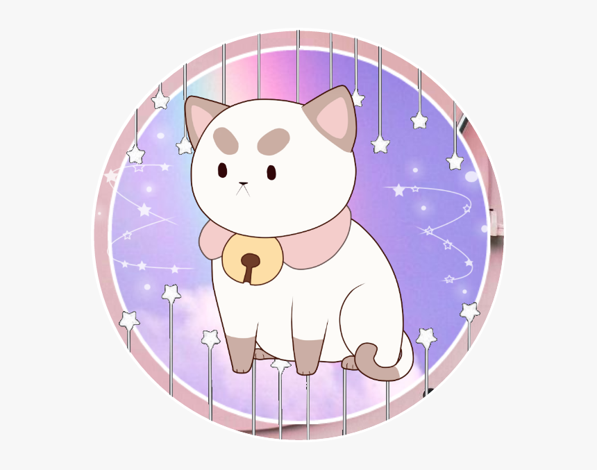 Transparent Puppycat Png - Himalayan, Png Download, Free Download