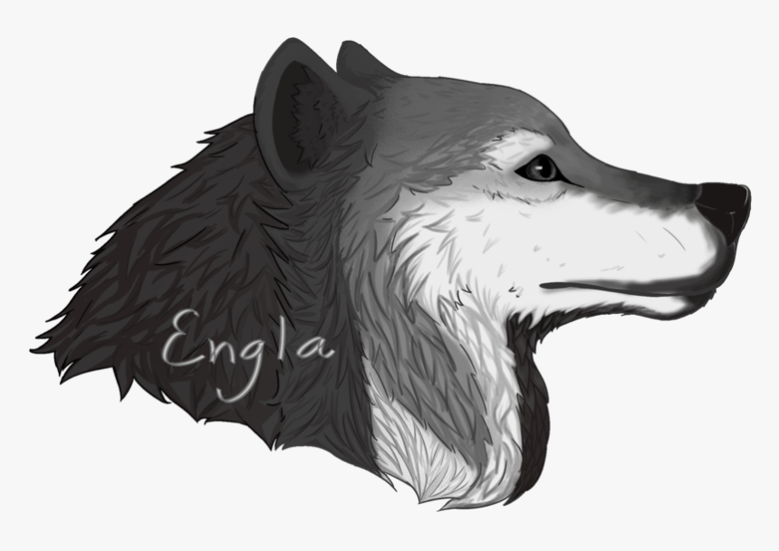 White Wolf Png -wolf Drawing Png - Rough Collie, Transparent Png, Free Download