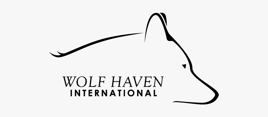 Wolf Haven International, HD Png Download, Free Download