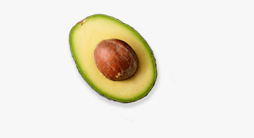 Half Avocado Png Photos - Avocado Png, Transparent Png, Free Download